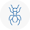 Ant Removals In Shelley