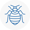 Bed Bug Extermination In Shelley