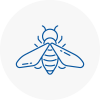 Bee Nest Removal Shelley