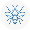 Shelley Hornet Nest Removals