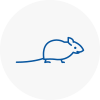 Mice Exterminators In Shelley