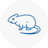 Rat Control Shelley