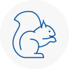 Shelley Rodent Removals