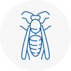 Shelley Wasp Nest Removal